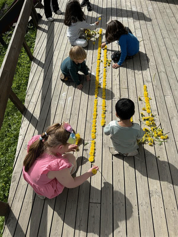 Fem små barn sitter på en treterrasse i sollys og arrangerer to lange, parallelle rekker med gule løvetann på bakken. Grønt gress er synlig langs kanten av terrassen.