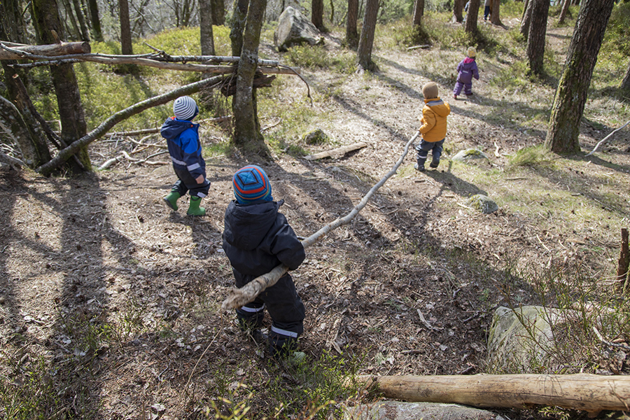 Fire små barn kledd i jakker og luer går og leker i en solfylt skog. Ett barn bærer en lang stokk mens de andre utforsker blant trærne og det naturlige skogsområdet, med spredte steiner og grener på bakken.