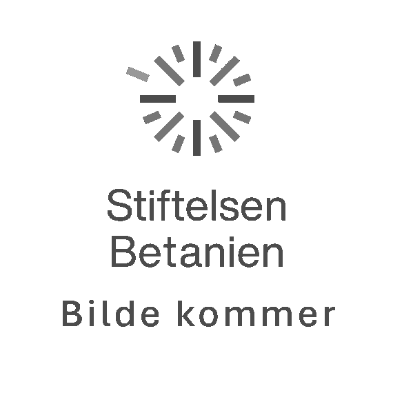 Betanien logo med tekst "Bilde kommer"